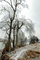 Snow and rime in rural China