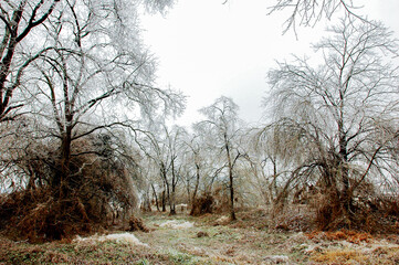 Snow and rime in rural China