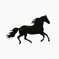 Silhouette galloping black horse