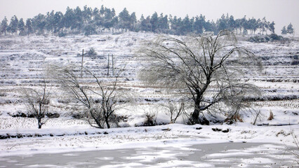 Snow and rime in rural China