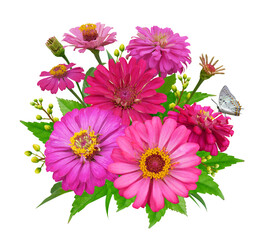 Zinnia flowers with tropical leaves in floral arrangement  isolated on transparent background