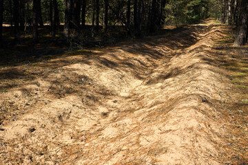 Fuel breaks are strips of landover metre wide cleared of flammable material and upper humus layer....