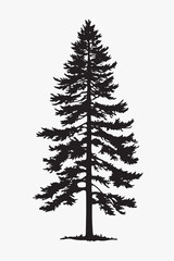 Silhouette pine tree vector illustration