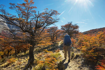 Fototapeta premium Hike in autumn season