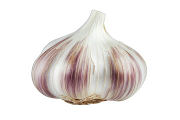 Fresh garlic bulb with purple hues, perfect for culinary and health-related imagery. Ideal for food or ingredient themes.