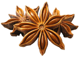 Three star anise pods with rich brown color, showcasing their unique star shape and texture, perfect for culinary and decorative uses.
