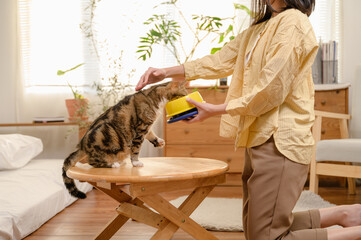 Young Asian woman cat owner giving food to her cute domestic cat at home. Adorable shorthair cat be...