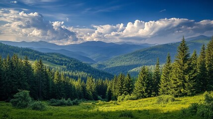 nature view ,stastics --ar 16:9 --style raw --v 6.1 Job ID: d925424a-62e7-4ce9-9989-c27f5c7aae4d