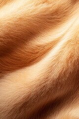  A tight shot of a dog's dense and abundant fur