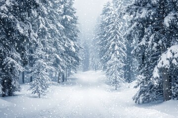 Obraz premium A tranquil winter pathway winds through a forest, lined with tall trees blanketed in snow as soft flakes fall from the sky