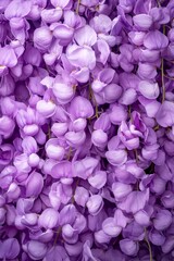 Obraz premium A cluster of purple flowers, surrounded by more purple flowers
