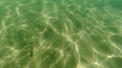 South of France Mediterranean coast in August 2024