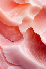 Fototapeta premium A tight shot of a meat slice, appearing divided, with pink and white hues