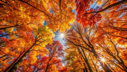 autumn, tree, fall, leaves, nature, yellow, leaf, 