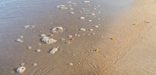 Amber stones on sea coast. Amber gems search on Baltic sea shore, fossilized tree resin crystals on sand
