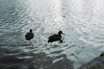 アイスランドのレイキャビクの街並み