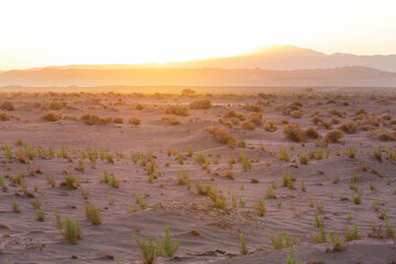 Atacama desert