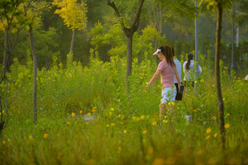 Fototapeta premium Luannan County, Hebei Province, China - July 11, 2024: Two women walk and exercise in the park grass in the morning