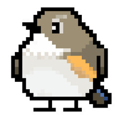 Fototapeta premium ドット絵, アニマルイラスト, ルリビタキのメス