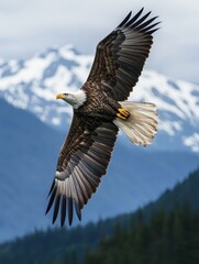 Naklejka premium A bald eagle is flying over a mountain range