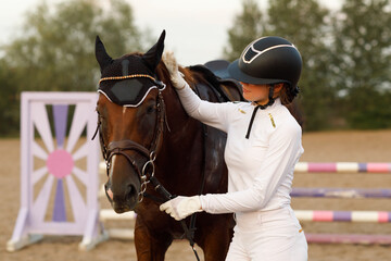 Obraz premium Dressage horse with ear covers and jockey rider in uniform portrait during equestrian jumping competition show