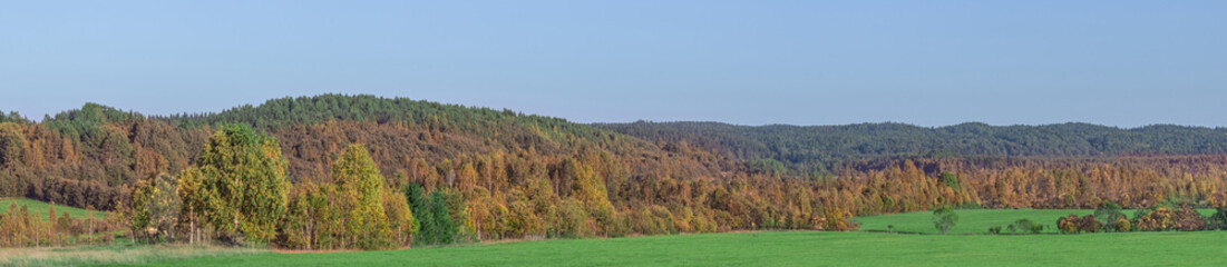A picturesque view of a hilly valley overgrown with forests in autumn colors.