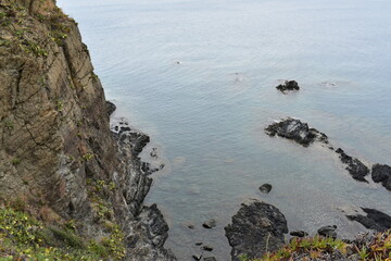 France Mediterranean in summer 2024