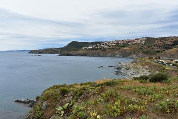 Obraz premium France Mediterranean in summer 2024