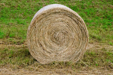 Hay bales. Hay bales are stacked on the field in large stacks. Harvesting in agriculture. High quality photo