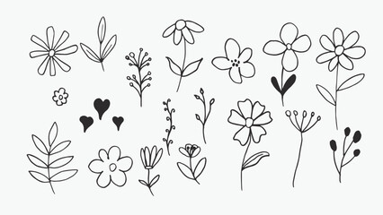 Organic nature elements: hand-drawn collection