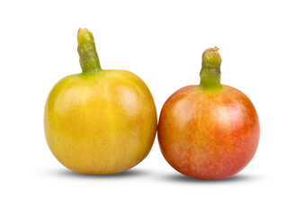 yellow coffee beans on transparent png