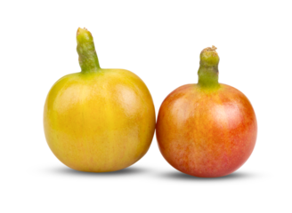 yellow coffee beans on transparent png