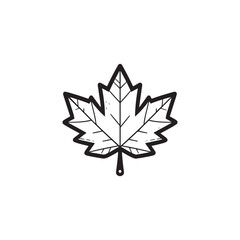 Obraz premium Thin Line Maple Leaf Design - Modern Autumn Symbol.