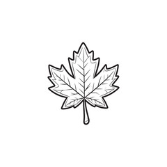 Maple Leaf Icon - Thin Line Fall Illustration.