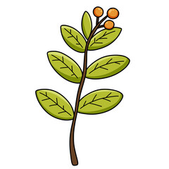 เลเยอร์ 24