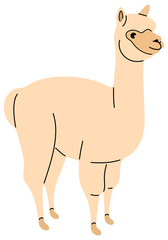 Alpaca or llama, animal. Pet and mammal, farm and nature, illustration