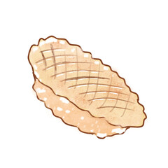 Scallop seafood illustrations