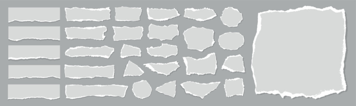 Set of white ripped paper stripes. Realistic papers scrap with torn edges. Notepad torn papers for message note, page or banner. Vector collection.