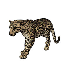 Jaguar vector ilustration design isolated template 
