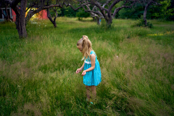 Fototapeta premium a little girl holds out a bouquet of field herbs