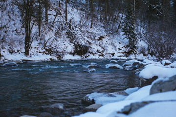 A close-up of a mountain river in winter, surrounded by a snowy mountainside and forest. The cold weather in the Altai Mountains, Siberia, Russia.