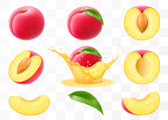 Whole, half and sliced of plum, red plum falls into a splash of juice, Plum with stone isolated on transparent background. Set fruits or berries, fresh organic food. Realistic vector 3d illustration