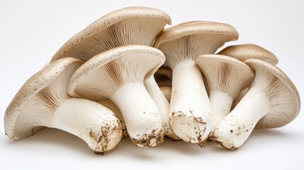 A close-up of fresh king oyster mushrooms neatly arranged on a clean white background, highlighting their smooth caps and thick, meaty stems.