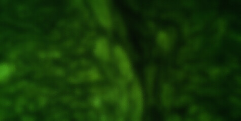 Seamless Color and Grunge Patterns in an Abstract Illustration
