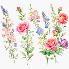 Fototapeta premium bouquet of roses