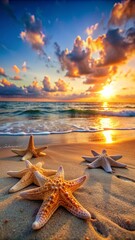 Fototapeta na wymiar starfish on the beach