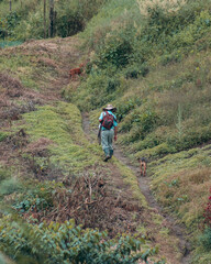Fototapeta premium Campesino