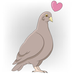 a dove is a symbol of eternal love and loyalty