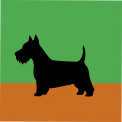 A charming vector art illustration of a Scottie Scottish Terrier Dog, capturing its iconic beard, sturdy build, and loyal expression, perfect for pet lovers and breed-specific designs.