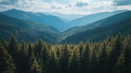 Fototapeta premium Top view of a forested mountain range with a wide expanse of sky above, creating a perfect background with copy space for text or logos.
